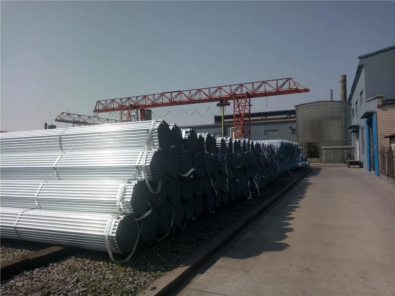 Tianjin Steel Galvanization Co.,Ltd.